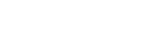 Rare Spirit Clothing Company 